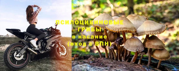 mdpv Верея